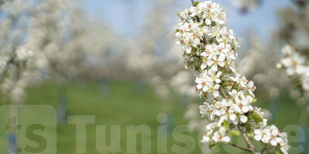 Beau temps au rendez-vous : profitez pleinement de votre journée